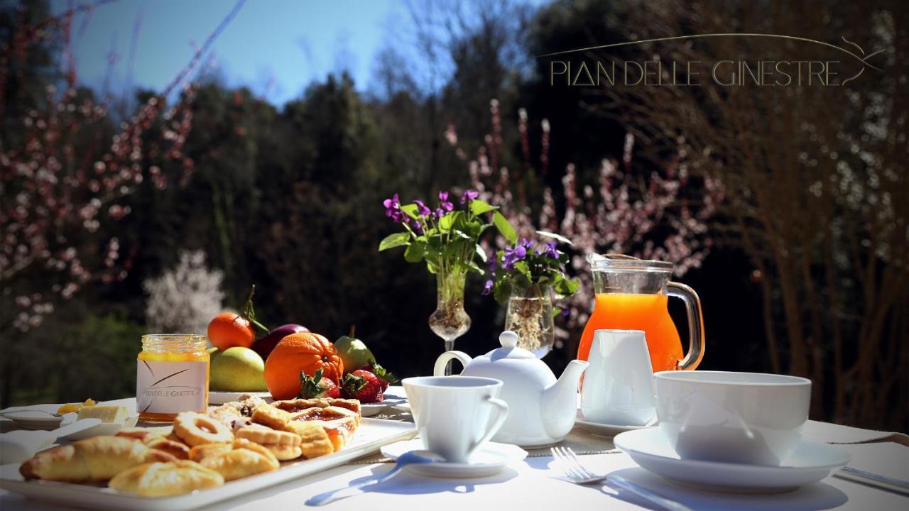 Glamping Pian Delle Ginestre Hotel Sassetta Exterior photo