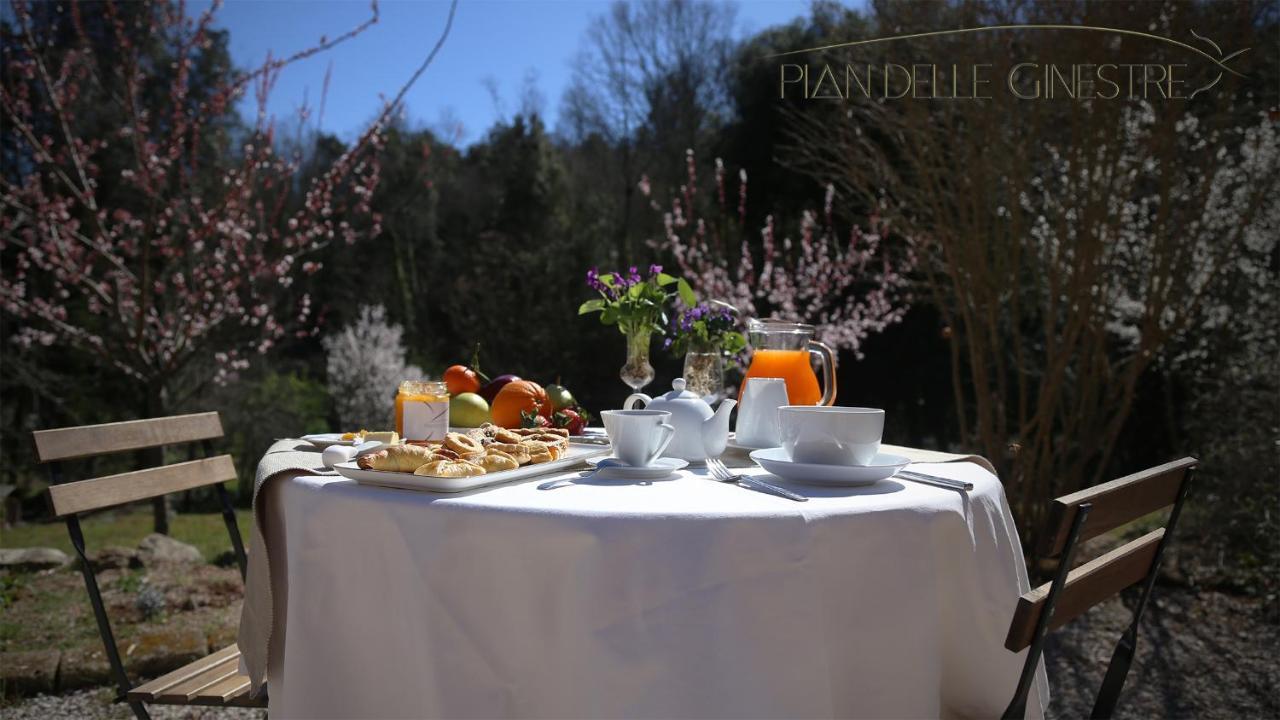 Glamping Pian Delle Ginestre Hotel Sassetta Exterior photo